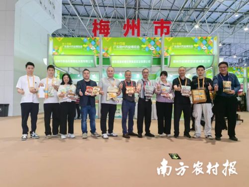 智創未來，AI賦能 蕉嶺毛竹品牌煥新，實業公司引領產業升級